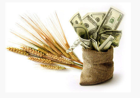 Черкаське ТОВ збагатилося на  фіктивних закупівлях  зерна  