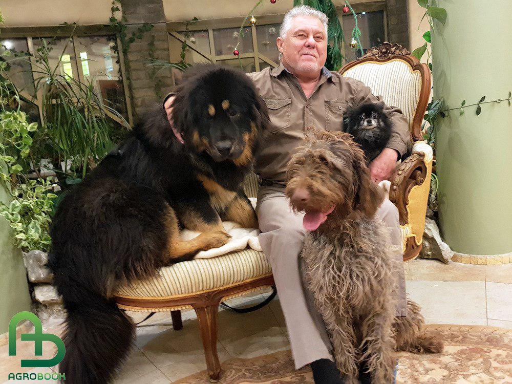 Боря, Дуня и Феня