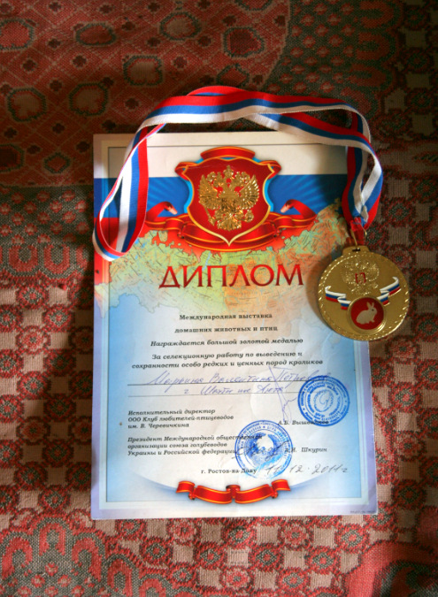Ферма капитана: бывший офицер милиции стала успешным кролиководом Ферма капитана: бывший офицер милиции стала успешным кролиководом
